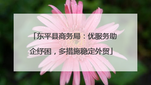 东平县商务局：优服务助企纾困，多措施稳定外贸