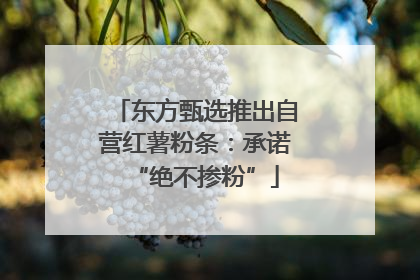 东方甄选推出自营红薯粉条：承诺“绝不掺粉”