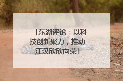 东湖评论：以科技创新聚力，推动江汉欣欣向荣
