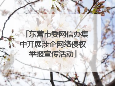 东营市委网信办集中开展涉企网络侵权举报宣传活动