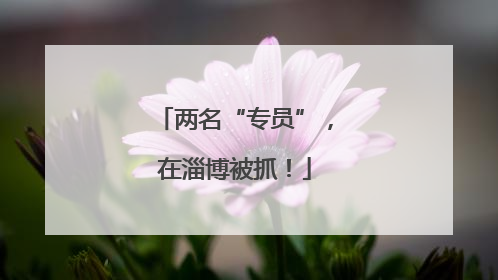 两名“专员”，在淄博被抓！