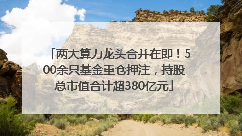 两大算力龙头合并在即！500余只基金重仓押注，持股总市值合计超380亿元