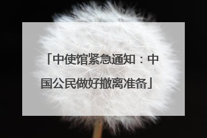 中使馆紧急通知：中国公民做好撤离准备