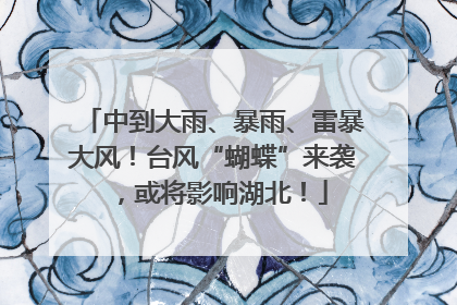 中到大雨、暴雨、雷暴大风！台风“蝴蝶”来袭，或将影响湖北！