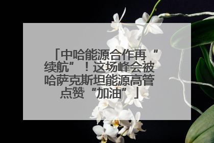 中哈能源合作再“续航”！这场峰会被哈萨克斯坦能源高管点赞“加油”