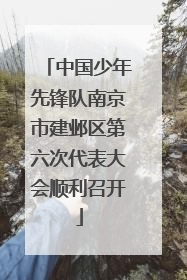 中国少年先锋队南京市建邺区第六次代表大会顺利召开