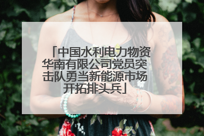 中国水利电力物资华南有限公司党员突击队勇当新能源市场开拓排头兵