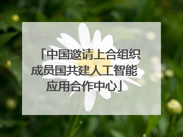 中国邀请上合组织成员国共建人工智能应用合作中心