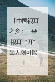 中国银耳之乡：一朵银耳“开”出无限可能