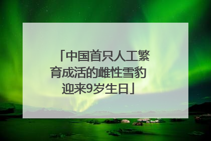 中国首只人工繁育成活的雌性雪豹迎来9岁生日