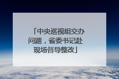 中央巡视组交办问题，省委书记赴现场督导整改