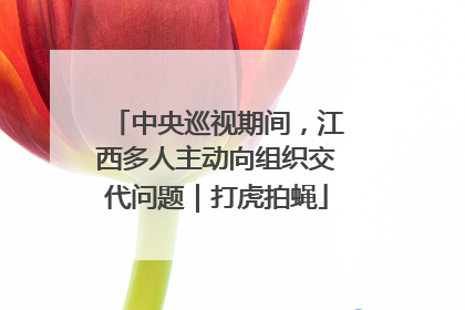 中央巡视期间，江西多人主动向组织交代问题｜打虎拍蝇