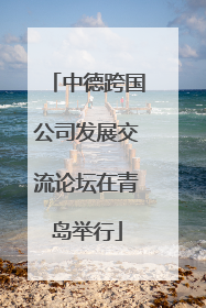 中德跨国公司发展交流论坛在青岛举行