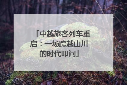 中越旅客列车重启：一场跨越山川的时代叩问
