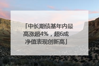 中长期债基年内最高涨超4%，超6成净值表现创新高