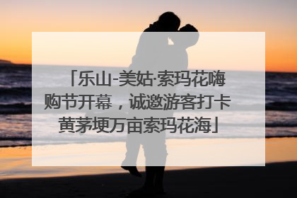 乐山-美姑·索玛花嗨购节开幕，诚邀游客打卡黄茅埂万亩索玛花海