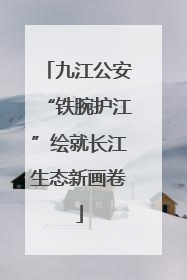 九江公安“铁腕护江”绘就长江生态新画卷