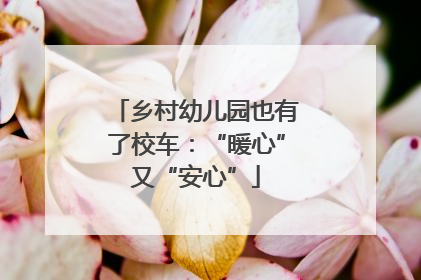 乡村幼儿园也有了校车：“暖心”又“安心”