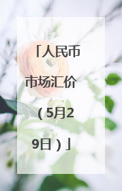 人民币市场汇价（5月29日）