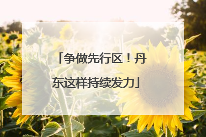 争做先行区！丹东这样持续发力