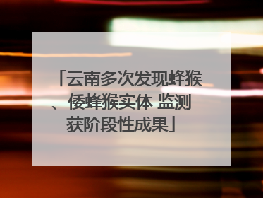 云南多次发现蜂猴、倭蜂猴实体 监测获阶段性成果
