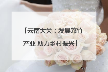 云南大关：发展筇竹产业 助力乡村振兴