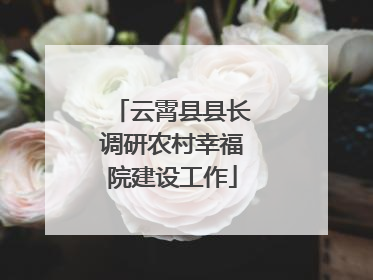 云霄县县长调研农村幸福院建设工作
