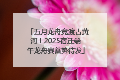 五月龙舟竞渡古黄河！2025宿迁端午龙舟赛蓄势待发
