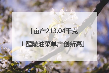 亩产213.04千克！醴陵油菜单产创新高