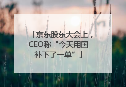 京东股东大会上，CEO称“今天用国补下了一单”