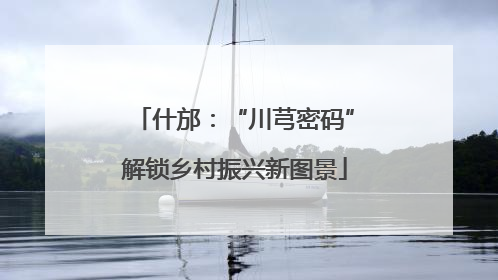什邡：“川芎密码”解锁乡村振兴新图景