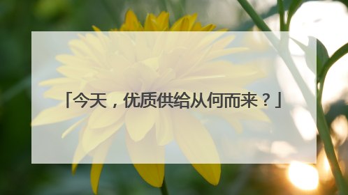 今天，优质供给从何而来？