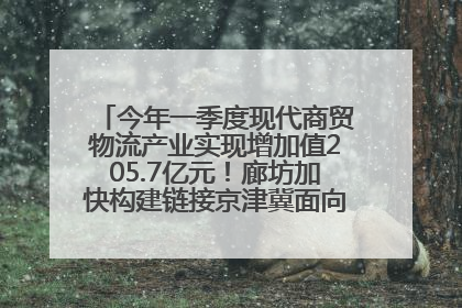 今年一季度现代商贸物流产业实现增加值205.7亿元！廊坊加快构建链接京津冀面向全世界的物流通道