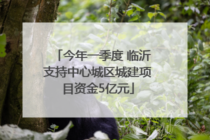 今年一季度 临沂支持中心城区城建项目资金5亿元
