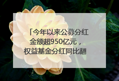 今年以来公募分红金额超950亿元，权益基金分红同比翻倍｜招财猫