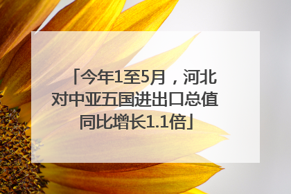 今年1至5月，河北对中亚五国进出口总值同比增长1.1倍