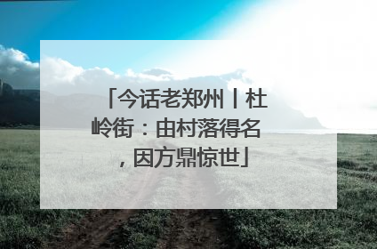 今话老郑州丨杜岭街：由村落得名，因方鼎惊世