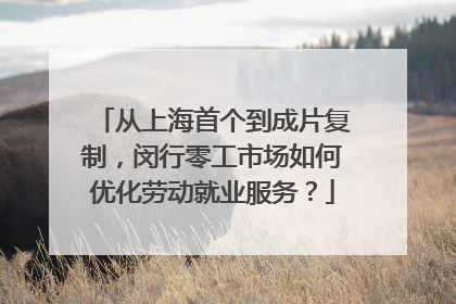 从上海首个到成片复制，闵行零工市场如何优化劳动就业服务？