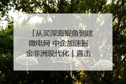 从买深海鳀鱼到建微电网 中企加速掘金非洲现代化｜直击中非经贸博览会