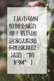 从市场纠纷到全域治理！看兵团这家法院如何织就基层法治 “防护网”