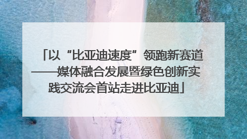 以“比亚迪速度”领跑新赛道——媒体融合发展暨绿色创新实践交流会首站走进比亚迪