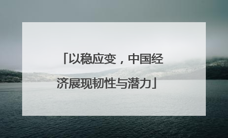 以稳应变，中国经济展现韧性与潜力