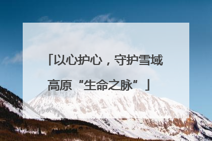 以心护心，守护雪域高原“生命之脉”