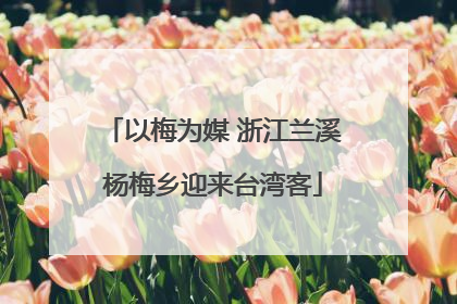 以梅为媒 浙江兰溪杨梅乡迎来台湾客