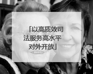 以高质效司法服务高水平对外开放