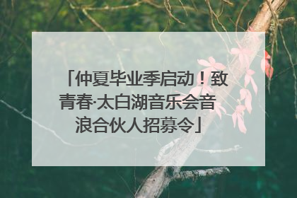 仲夏毕业季启动！致青春·太白湖音乐会音浪合伙人招募令