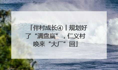 伴村成长④丨规划好了“满盘赢”，仁义村唤来“大厂”回