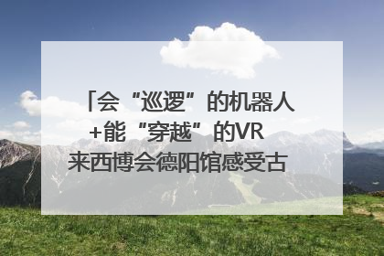 会“巡逻”的机器人+能“穿越”的VR 来西博会德阳馆感受古蜀文明与现代智造的时空对话｜西博视界