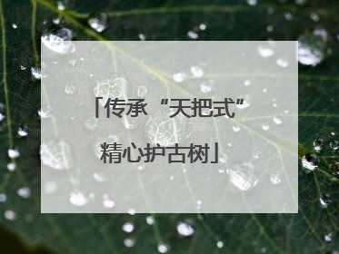 传承“天把式” 精心护古树