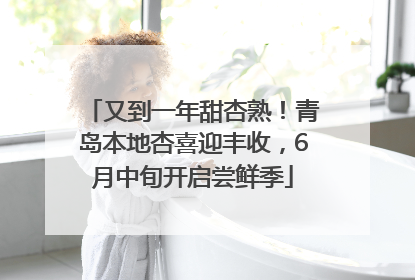 又到一年甜杏熟！青岛本地杏喜迎丰收，6月中旬开启尝鲜季